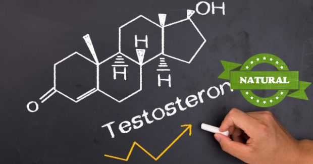 Testosteron Natural - Cum sa cresti nivelul