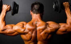 Crestere in masa musculara