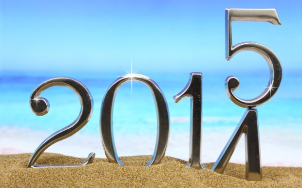 Lectiile Anului 2014, Obiectivele pe 2015