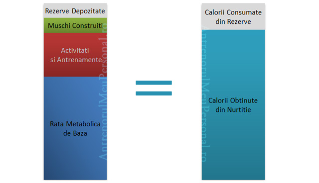 Model calorii recompozitie corporala